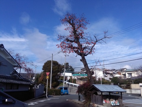 itsumo_taka3_1