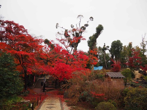 20221123大門寺 (25)