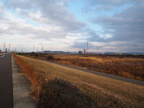 20220127ヨシ焼き (1)