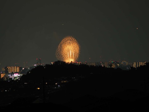 20220827なにわ淀川花火 (178)