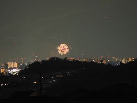 20220827なにわ淀川花火 (53)