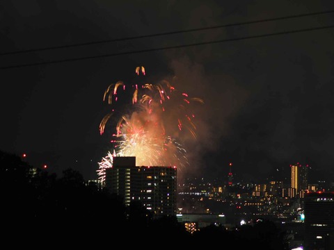 20220904くらわんか花火 (214)
