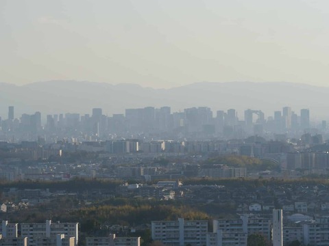 20260109彩都 (43)