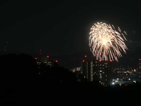 20250921くらわんか花火 (50)