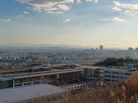 20260109彩都 (41)