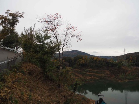 20221123安威川ダム (18)