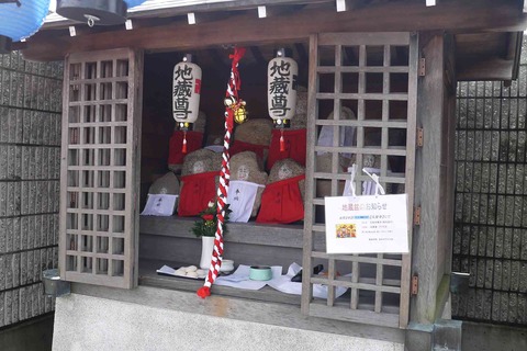 jizobon2019_3