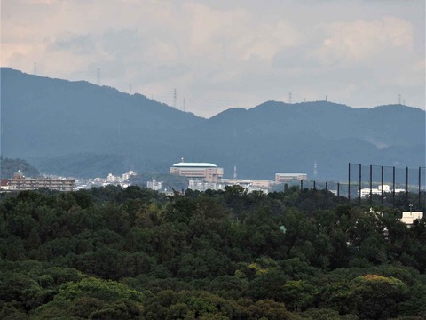 20221022万博記念公園 (64)