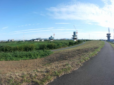 20250927新名神国道堤防 (78)