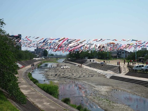 20250426こいのぼり (25)