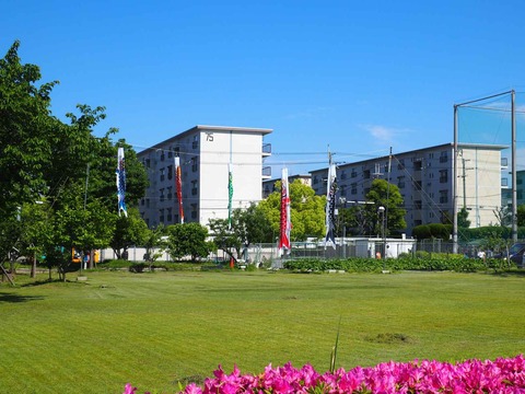 牧田町こいのぼり (2)