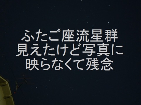1214_yoru4