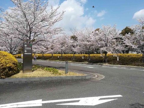 sk_20190408_2