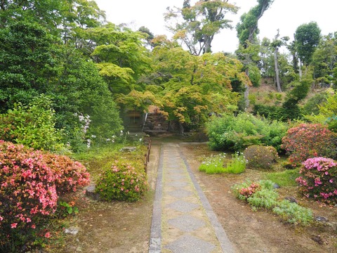 20220611安威川ダム_大門寺 (31)