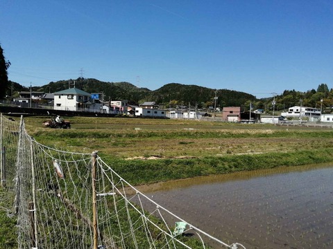 20220504樫田 (6)
