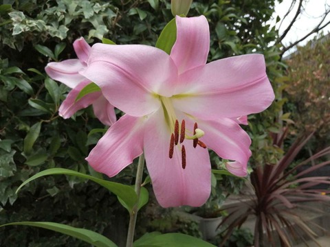 IMG_20210630_134711