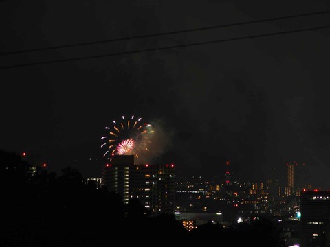 20220904くらわんか花火 (178)