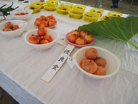 20231112農林業祭 (31)