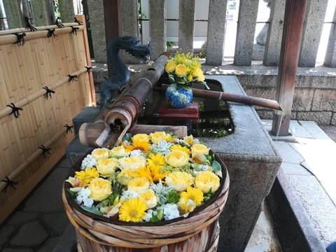 20220619野見神社 (1)