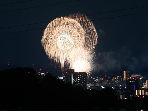 20260920くらわんか花火 (188)