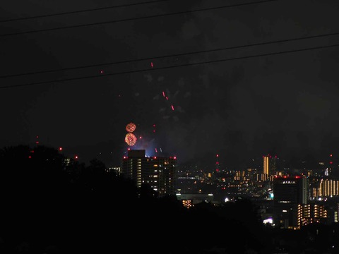 20220904くらわんか花火 (268)