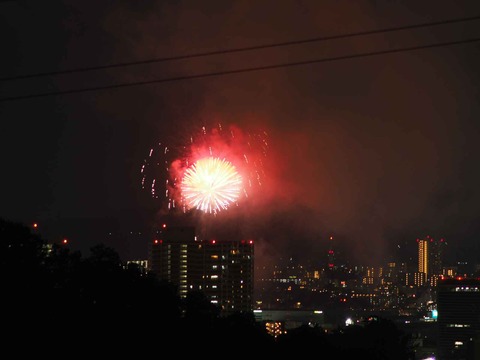 20220904くらわんか花火 (120)