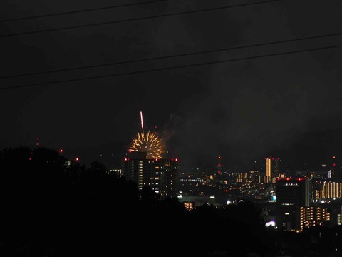 20220904くらわんか花火 (242)