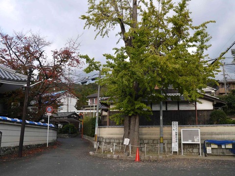 koyo20181123_1