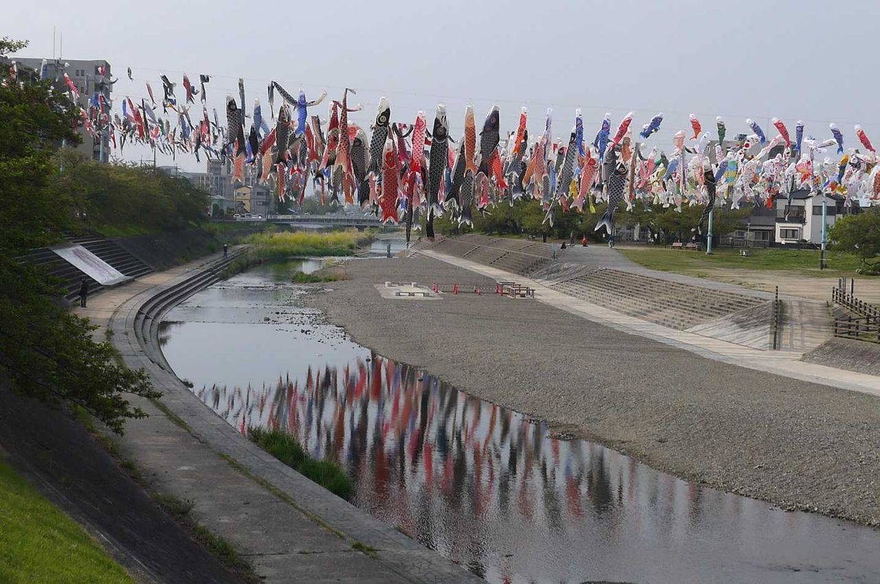芥川 朝のこいのぼりの風景 こいのぼりが川に反射してきれい 19年 高槻network新聞 芥川 朝のこいのぼりの風景 こいのぼりが川に反射してきれい 19年 高槻network新聞