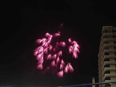 20220811亀岡花火 (32)
