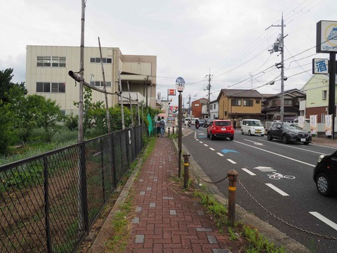 20220716長岡京 (13)