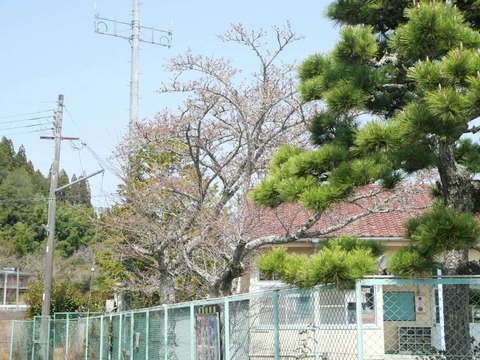 20250405樫田 (26)