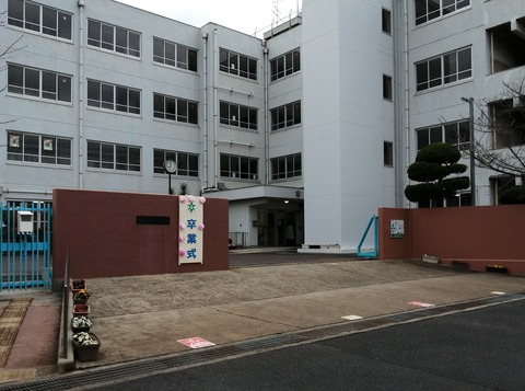 IMG_20240313_080056_edit_82073121228101