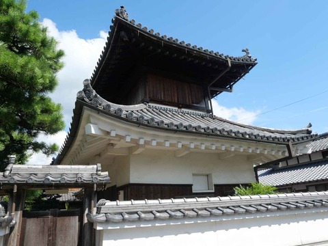 20240818園田城 (124)