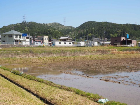 20230422田植え準備 (4)