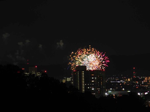 20230917水都くらわんか (20)