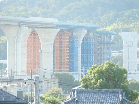 20250927新名神国道堤防 (58)