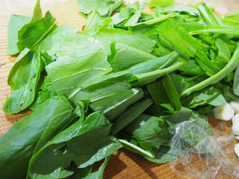 20221211みぶな (2)