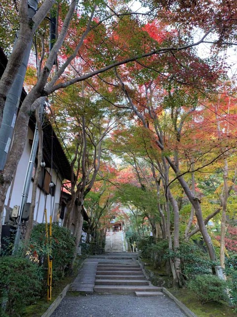 20221117神峯山寺 (3)