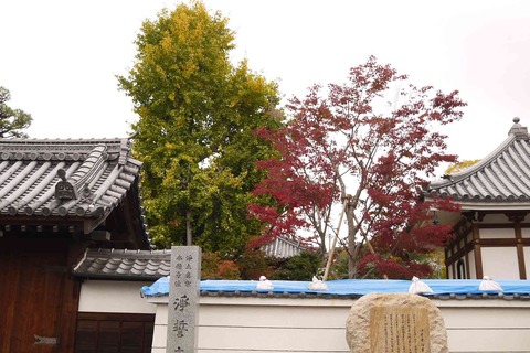 koyo191122_5