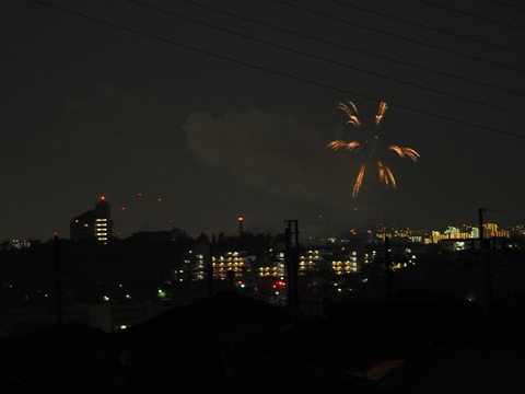 20221126万博花火 (14)