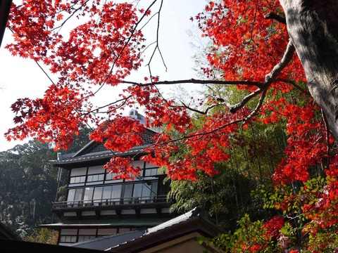 kabuzan20181127_11