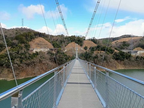 20250317吊り橋 (10)