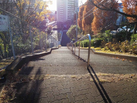 20211127abuyama_kaidan (7)