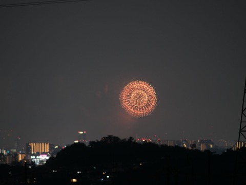 20240803なにわ淀川花火 (12)