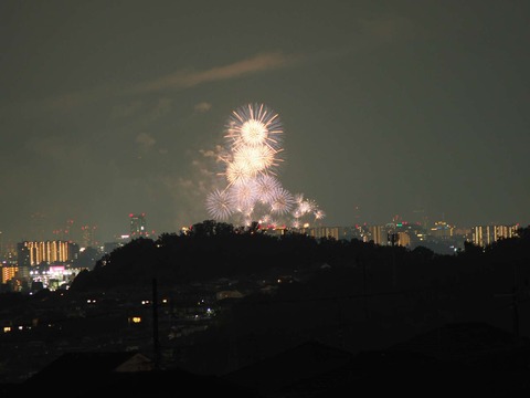 20220827なにわ淀川花火 (47)