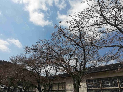 sk_hara_20190404_9