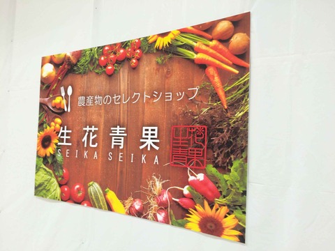 seikaseika2