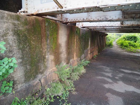 20220814芥川鉄橋 (7)