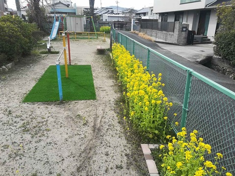 202402330西真上 (9)